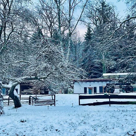 Tiny 1 Am Rimbach In Holiday home *