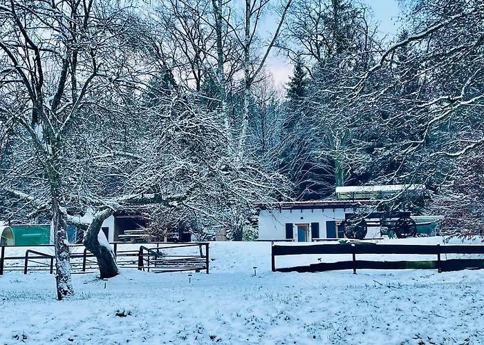 Tiny 1 Am Rimbach In بيت للعطل *